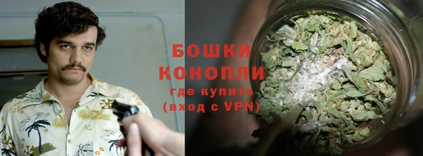 прущие грибы Володарск