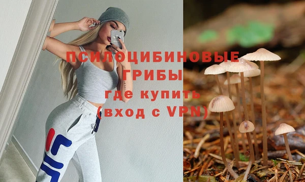 ешки Волоколамск