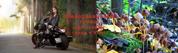 ешки Волоколамск