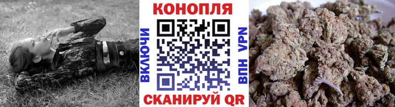 Купить где  Лениногорск  МАРИХУАНА OG Kush 