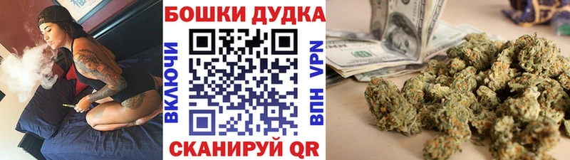 Конопля план Лениногорск